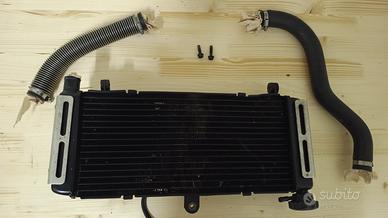 Radiatore Hornet 600 2005-2006