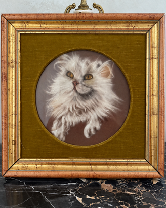 Quadro gatto del dott. Praitano con cornice – 44 ×