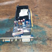 stock schede video pciexspress