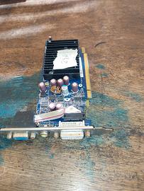 stock schede video pciexspress