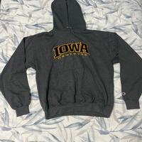 Felpa grigia champion