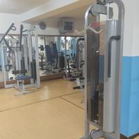 Palestra professionale