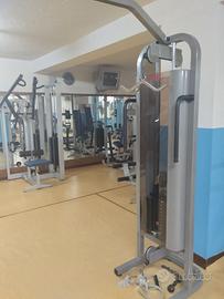 Palestra professionale