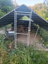 casetta galline 