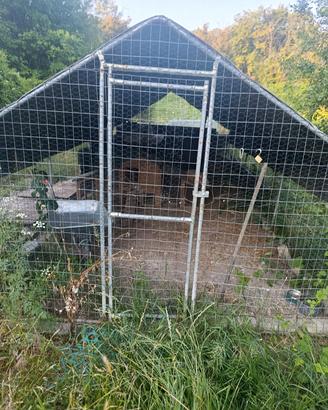 casetta galline 