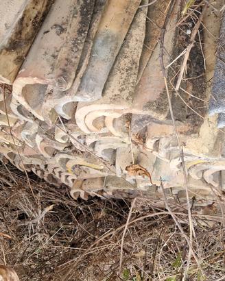 Coppi Tegole antiche