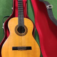 Chitarra liuteria artigianale Eko Co 3000