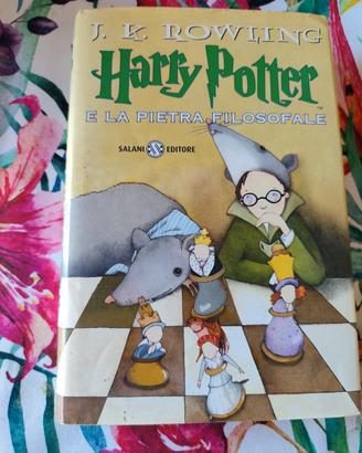 Harry Potter pietra filosofale 1edizione e traduzi