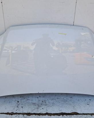 46828725 COFANO ANTERIORE FIAT IDEA (135) 1.3 MULT