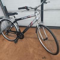 Bicicletta Uomo raggi 28 