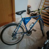Mountain bike 21k