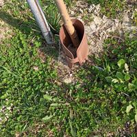 Collari per la protezione delle piante