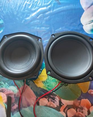 subwoofer da 13 centimetri 