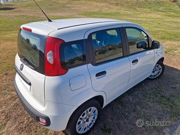 FIAT Panda 3ª serie - 2019