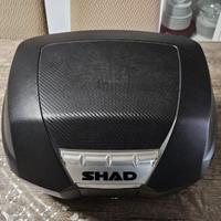 Bauletto Shad SH44