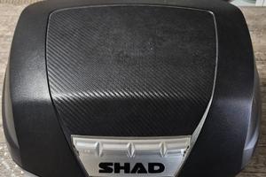 Bauletto Shad SH44