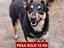 Immagine 4