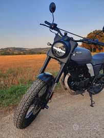 Brixton Glanville felsberg 250