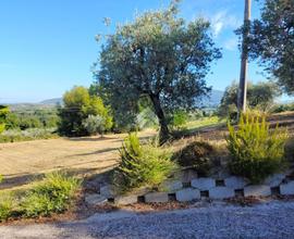 TER. AGRICOLO A TORRI IN SABINA