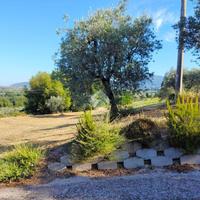 TER. AGRICOLO A TORRI IN SABINA