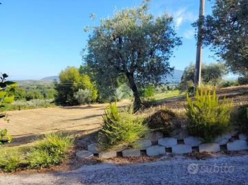 TER. AGRICOLO A TORRI IN SABINA