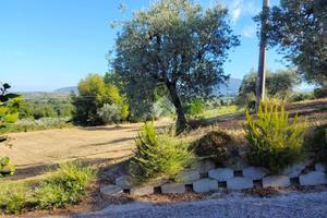 TER. AGRICOLO A TORRI IN SABINA