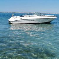 Sea Ray 190 + Carrello omologato