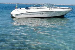 Sea Ray 190 + Carrello omologato