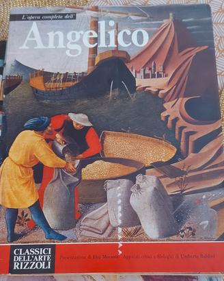 collezione libri d'arte Rizzoli del 1970