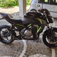 mivv delta race z650