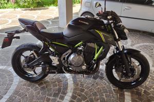 mivv delta race z650