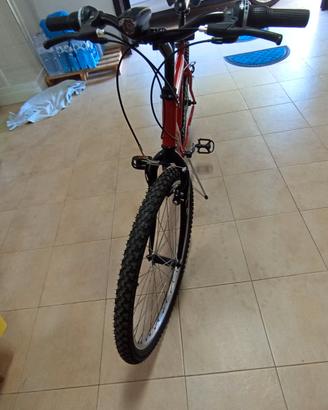 bicicletta mondial bike