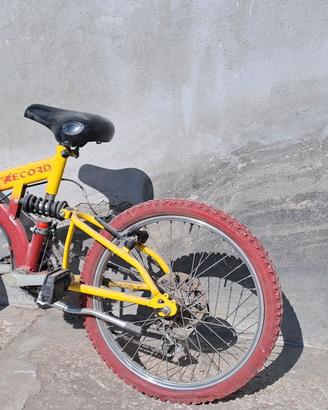 Bici per ragazzi