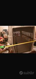 Trasportino cane grande