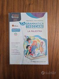 la grammatica treccani