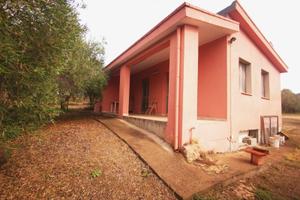 Terreno Agricolo - Maracalagonis