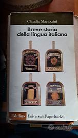 Breve storia della lingua italiana