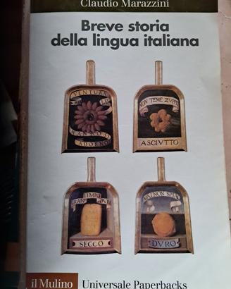 Breve storia della lingua italiana