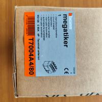 Interrutore magnetotermico Bticino MD 125