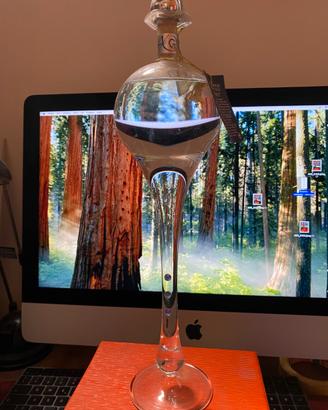 Grappa di Pinot
