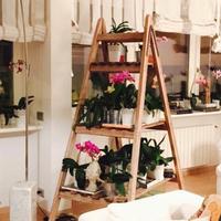 Scala espositore in legno