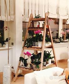 Scala espositore in legno