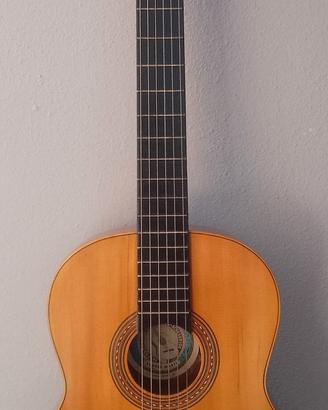 Chitarra flamenco 