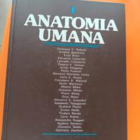 Libro "Anatomia umana" Balboni Edi-Ermes