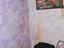 Immagine 18