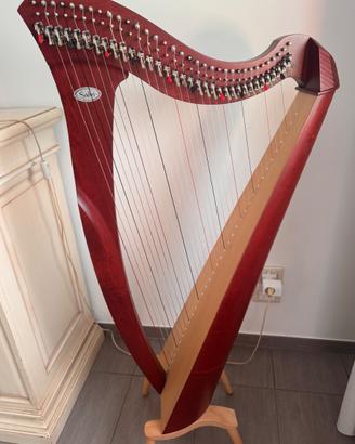 Arpa celtica