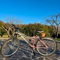 Bici MTB Bottecchia 21 velocità Shimano Tourney