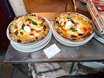 Pizzaiolo esperto stagione estiva 2026