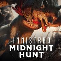 Lotto 9 carte Magic: the Gathering