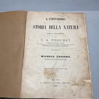 Libro Antico 1869 Storia della Natura Lessona